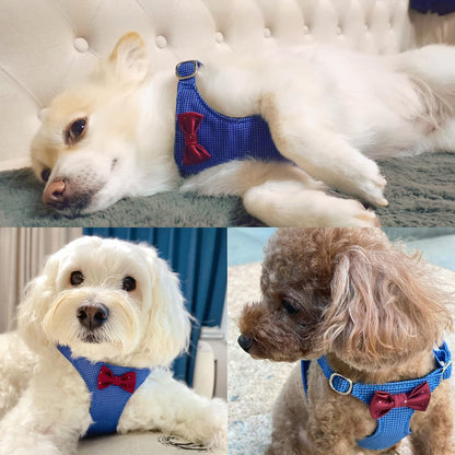 Puppytie No Pull Small Dog Harness with Multifunction Dog Leash,Lightweight Soft Adjustable No Choke Escape Proof Pet Harness Vest Pet Harness Vest,Plaid Blue,S