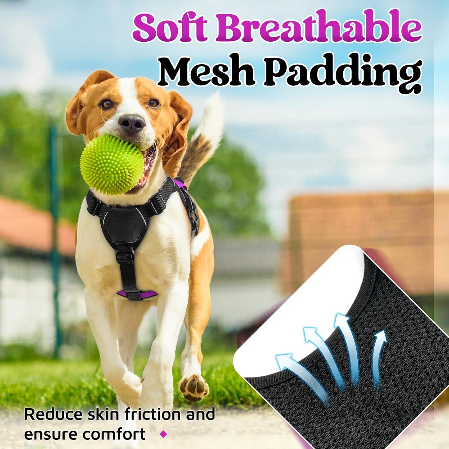 rabbitgoo Escape Proof Dog Harness, Soft Padded Full Body Pet Harness, Reflective Adjustable No Pull Vest with Lift Handle and Lesh Clip for Large Dogs Walking Hiking Training, S, Purple