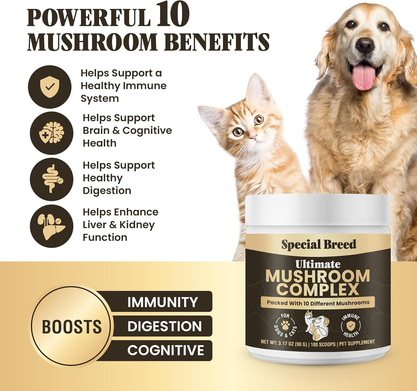 Mushroom Powder for Dogs & Cats - Organic Mushroom Complex for Immune Support, Cognition, Vitality - Ten Mushroom Supplement with Turkey Tail, Lion's Mane, Reishi - 180 Scoops