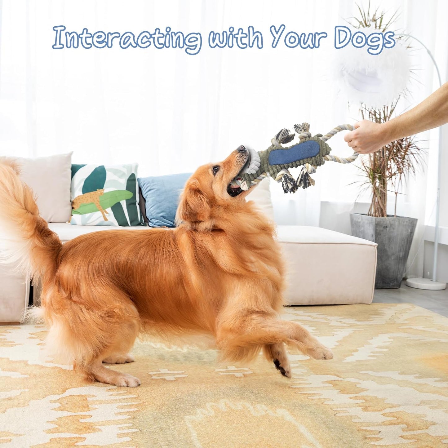 Funny Plush Dog Chew Toys, Squeaky Dog Toys, Interactive Tug of War Puppy Toys, Stuffed Dog Toys for Small, Medium and Large Dogs - Monkey