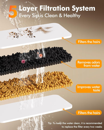 3.2Gal/12L Dog Water Fountain Stainless Steel, Dog Fountain Water Bowl with Dual-Latch, Pet Fountain for Dogs Cats and Multi-Pet, Automatic Dog Water Bowl Dispenser With Water Window, Ultra Quiet Pump