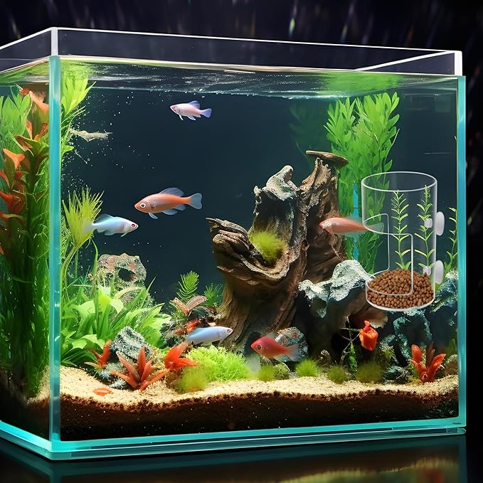 2Pcs Aquarium Fish Feeder Feeding Tray with Suction Cup, Feeding Tube Tank Divider Aquarium Breeder Box Fish Bowls Accessories Round for Turtle Shrimp Supplies Round