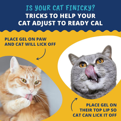 Under The Weather Pet | Ready Cal for Cats 100cc | High Calorie Supplement | Cat Weight Gainer and High Calorie Booster | 10 Vitamins, 7 Minerals & Omega Fatty Acids (for Cats 100cc)