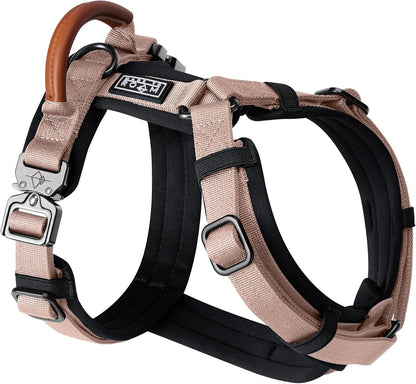 MADE TO ROAM Premium Explorer Harness - Y-Shaped Dog Harness with Adjustable Durable Nylon, Soft Padding, Metal Buckles and Leather Handle for Small, Medium, Large Dogs (Utah Glow, Size 3)