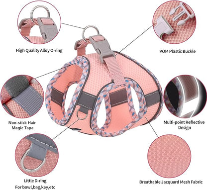 AIITLE XXS Dog Harness & Leash Set - Breathable Reflective No-Choke Small Dog Harness for Teacup Puppies, Indoor/Outdoor Use - Boston Terrier, Maltese, Chihuahua (Pink, XXS)