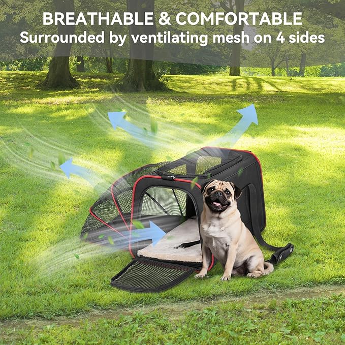 Petsfit Expandable Dog Carrier Large Cat Carrier, Soft-Sided Portable Collapsible Pet Travel Carrier for Kittens, Puppies or Small Animals, 19 x12x12 Inches, Black