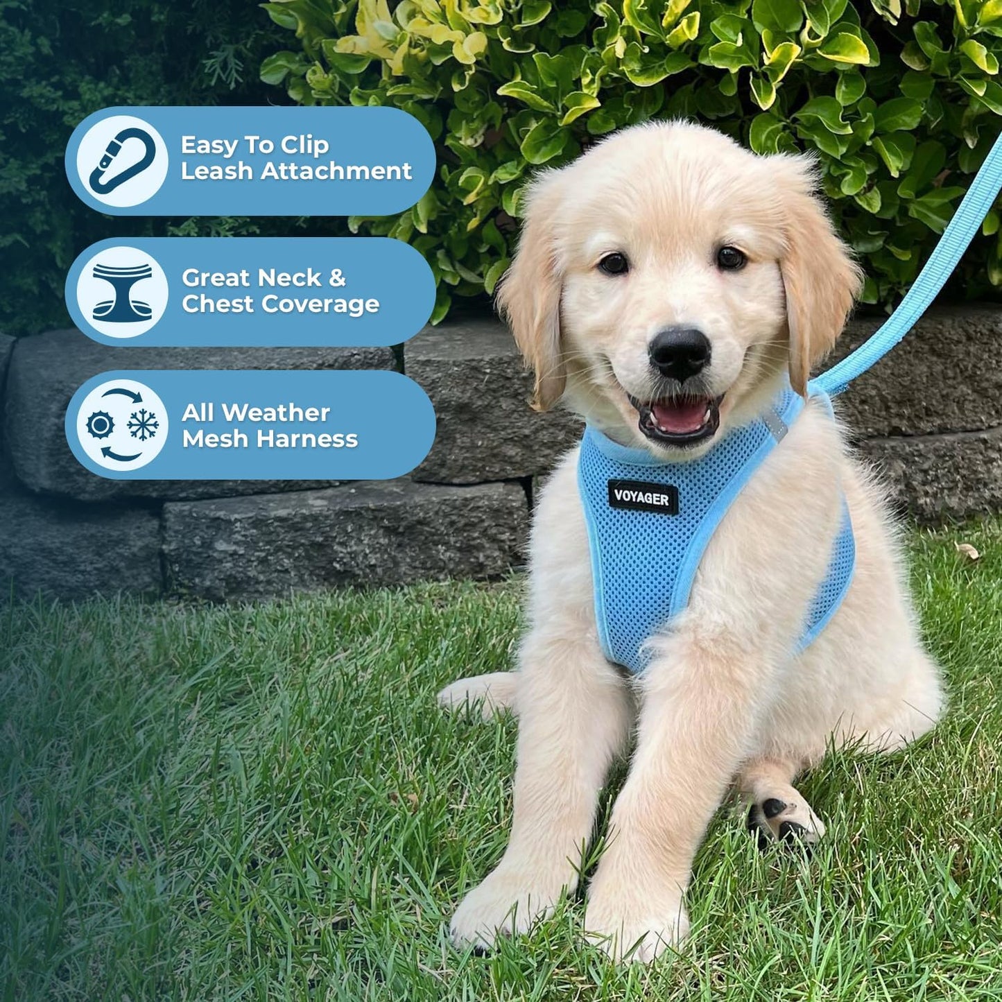 Best Pet Supplies Voyager Step-in Air Harness - All Weather Mesh, Reflective, No Pull Harness for Dogs, Cats - Secure with Hook & Loop Fastener, Buckle, Double D-Rings - Baby Blue, XS