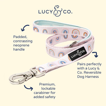 Lucy & Co. 5 Foot Designer Dog Leash - Best for Big, Small, or Medium Dogs - Puppy Leash - Cloud Pattern