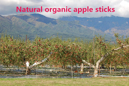 sharllen 100g (3.5oz) Apple Sticks Pet Snacks Chew Toys for Guinea Pigs Chinchilla Squirrel Rabbits Hamster