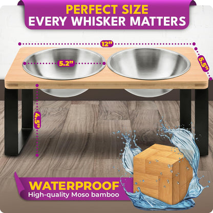 Raised cat Bowls for Indoor Cats by WinTruffles, Elevated cat Bowls, Tilted and Elevated Anti Vomiting Cat Dishes for Food and Water, Set of 2 Stainless Steel Bowl