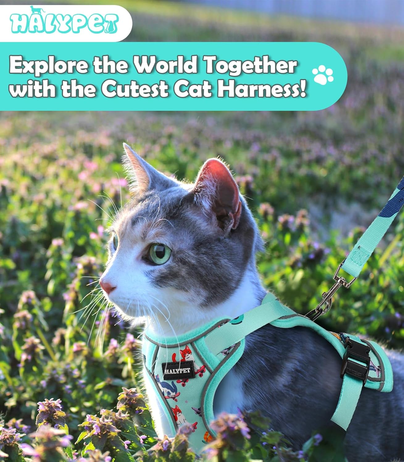 Halypet Cat Harness and Leash Set[MAX Safety 4th-Gen] Cute Escape Proof Vest Harness for Girl&Boy Cat Walking, Comfortable Adjustable Leash and Reflective Strips for Outdoor Kitten, XS Purrfect Green