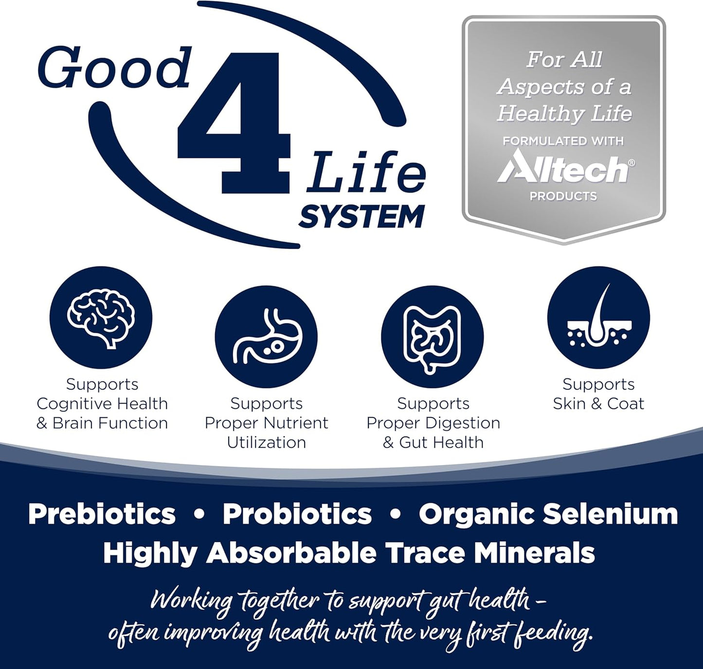 NutriSource Grain Free Woodlands Select Recipe Dog Food, Premium Wet Dog Food, 12.3 Ounce (Pack of 12)