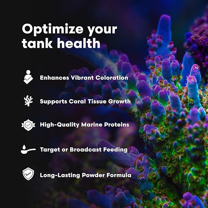 Brightwell Aquatics Reef Blizzard-A – High-Protein Planktonic Blend for Anemones, Planktivorous Fish & Marine Invertebrates – Enhances Color & Growth, 50g