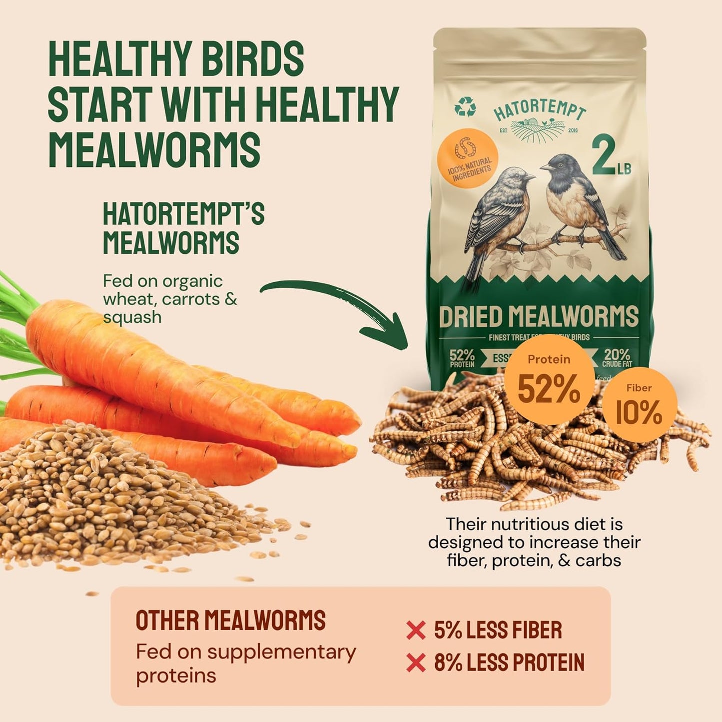 Hatortempt Dried Mealworms - 2 Lb Bag - High Protein Chicken Feed, Mealworms for Birds & Chickens - Meal Worms for Wild Birds & Turtles