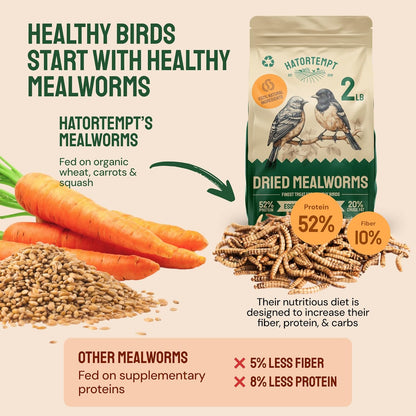 Hatortempt Dried Mealworms - 2 Lb Bag - High Protein Chicken Feed, Mealworms for Birds & Chickens - Meal Worms for Wild Birds & Turtles