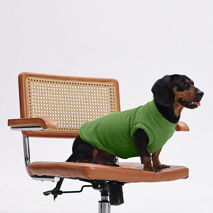 PUMYPOREITY Fleece Sphynx Cat Clothes, Warm Thick Cat Sweater, Soft Winter Coat for Hairless Cats, Cold Weather Pet Sweater for Dogs and Cats, Green, XL