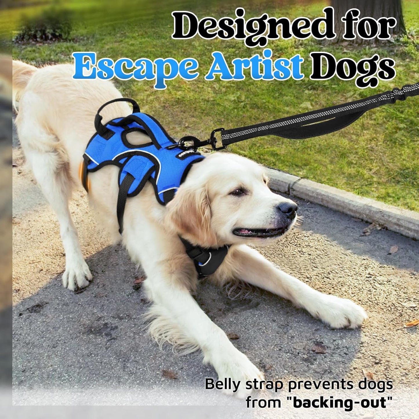 rabbitgoo Escape Proof Dog Harness, Soft Padded Full Body Pet Harness, Reflective Adjustable No Pull Vest with Lift Handle and Leash Clip for Large Dogs Walking Hiking Training, XL, Blue