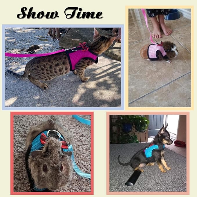 Rypet Guinea Pig Harness and Leash 2 Pieces - Soft Mesh Small Pet Harness with Safe Bell, No Pull Comfort Padded Vest for Guinea Pigs, Ferret, Chinchilla and Similar Small Animals