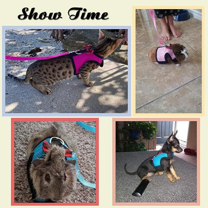 Rypet Guinea Pig Harness and Leash 2 Pieces - Soft Mesh Small Pet Harness with Safe Bell, No Pull Comfort Padded Vest for Guinea Pigs, Ferret, Chinchilla and Similar Small Animals