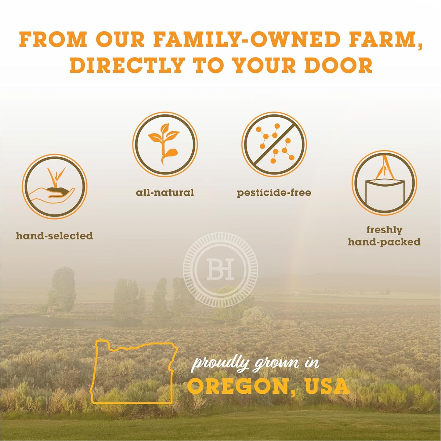 Bunny Honey Orchard Grass Hay for Guinea Pigs, Rabbits, Hamsters & Small Pets Fresh, High-Fiber, Supports Digestive Health & Dental Care, Non-Blended & Fresh Cut