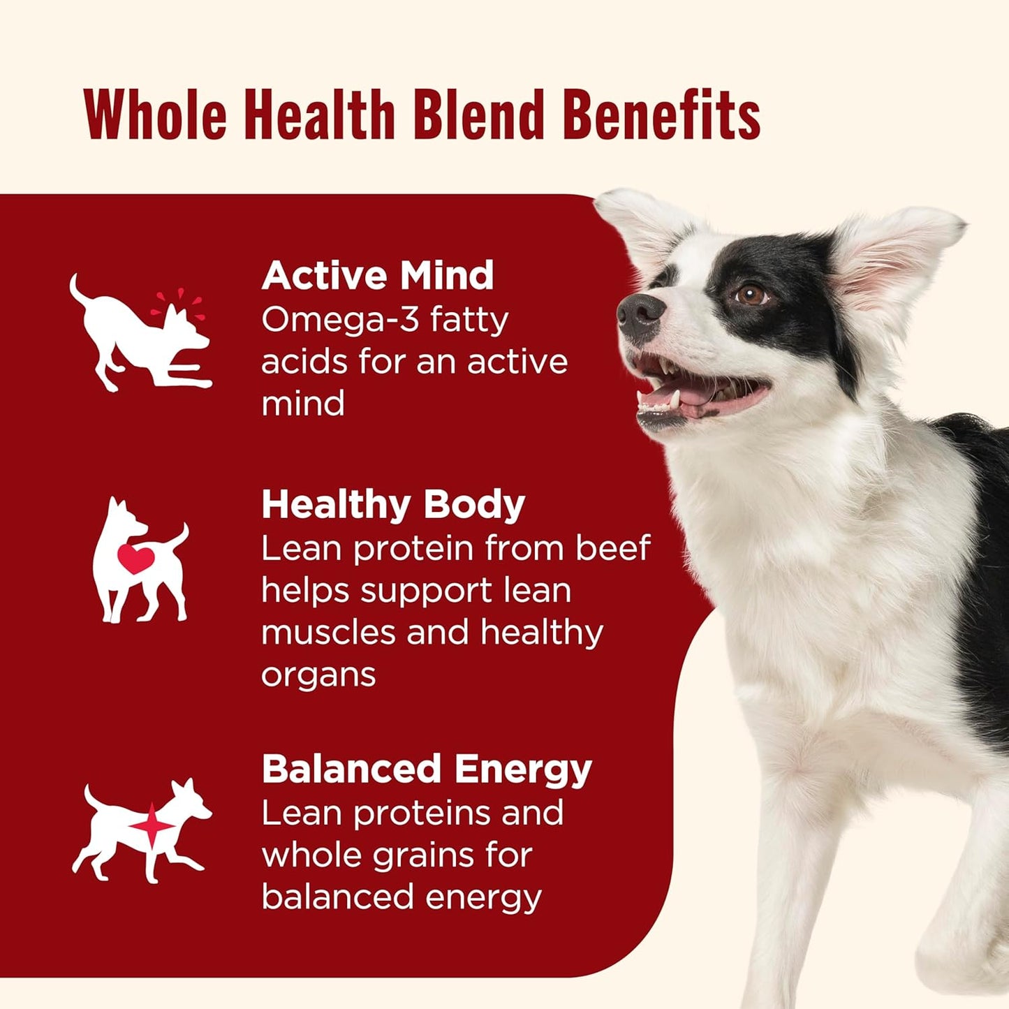 Nutrish Real Beef & Veggies Recipe Whole Health Blend Chunks in Gravy Wet Dog Food, 13 oz. Can, 12 Count, Packaging May Vary (Rachael Ray)