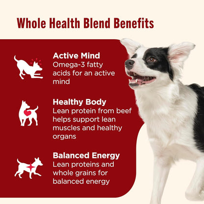 Nutrish Real Beef & Veggies Recipe Whole Health Blend Chunks in Gravy Wet Dog Food, 13 oz. Can, 12 Count, Packaging May Vary (Rachael Ray)