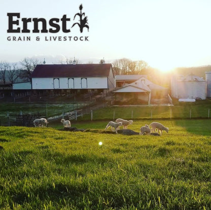 Ernst Grain & Livestock Bird and Wildlife Feed – Perfect for Birds, Ducks, Squirrels, Turkeys, Rabbits, Geese, and Deer – Non-GMO Wild Animal & Bird Feed for Outside Feeders - 10lbs