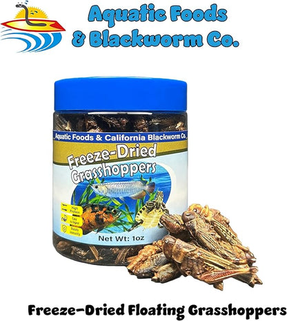 Aquatic Foods Inc. Grasshoppers, Freeze Dried Grasshoppers for Large Tropical Fish, Monster Fish, Reptiles, Turtles, Tortoises, Frogs, Hamsters, Birds, Rodents 1.0oz Canister