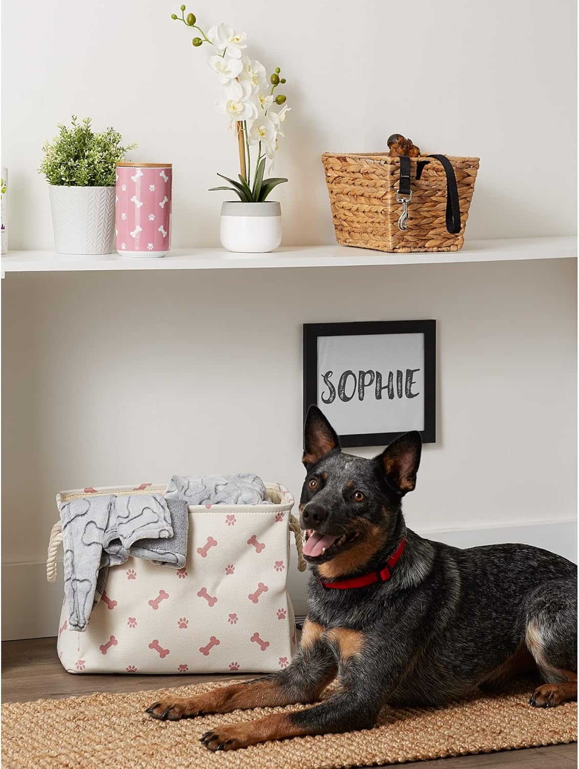 Bone Dry Pet Storage Collection Paw and Bone Print, Small Rectangle, 14x8x9", Rose