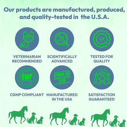 Truseb Topical Chlorhexidine 4% Shampoo for Dogs, Cats, and Horses with Plum/Blueberry Scent - 12 oz - Made in U.S.A (Chlorhexidine 4% Shampoo, 12 oz)