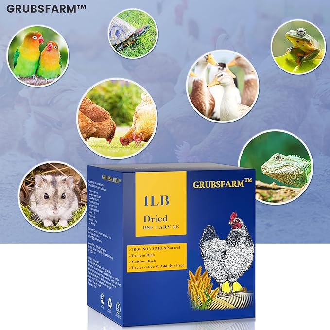 Premium Dried Black Soldier Fly Larvae for Chickens 1LB - Superior to Mealworms - 85X More Calcium Than Meal Worms - Molting & Laying Hens Supplement - Non-GMO BSF Larvae Treats for Ducks