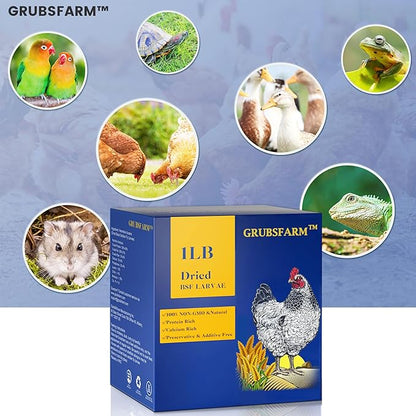 Premium Dried Black Soldier Fly Larvae for Chickens 1LB - Superior to Mealworms - 85X More Calcium Than Meal Worms - Molting & Laying Hens Supplement - Non-GMO BSF Larvae Treats for Ducks