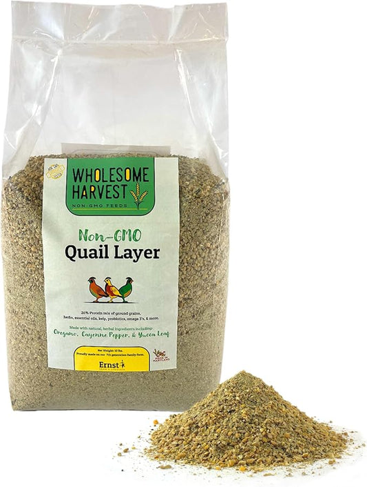 Non-GMO Quail Layer Feed 26% - Premium 10 lb Food for Laying Birds, Button Food