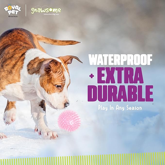 Gnawsome Medium Squeaker Ball Dog Toy, Medium 3.5", Colors will vary, All Breed Sizes