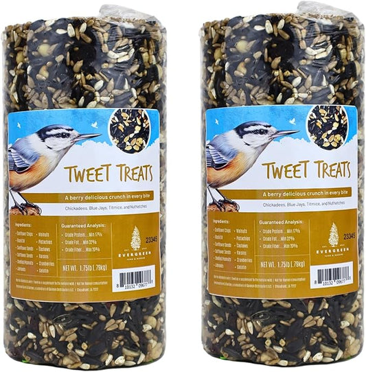Birdseed Cylinders with Hole - Bird Seed for Outside Wild Birds (Small Cylinder, Tweet Treats 2pc)