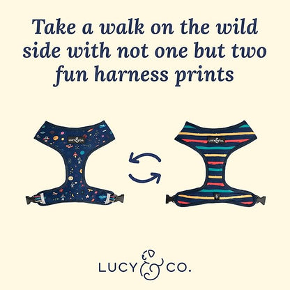 Lucy & Co. Cute Reversible Dog Harness Walking Halter - Best Designer Pet Harnesses Extra Small Medium Large XL Dogs Plus Pug Breeds - Padded Adjustable Puppy Vest Easy Walking (Space Doodle, Small)