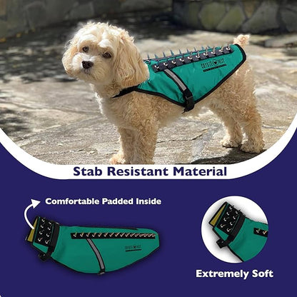 CoyoteVest Dog Harness Protection Vest, Reflective Dog Accessories with Spikes to Shield Your Pet from Raptor and Animal Attacks, Proudly Made in America (X-Small, Turquoise)
