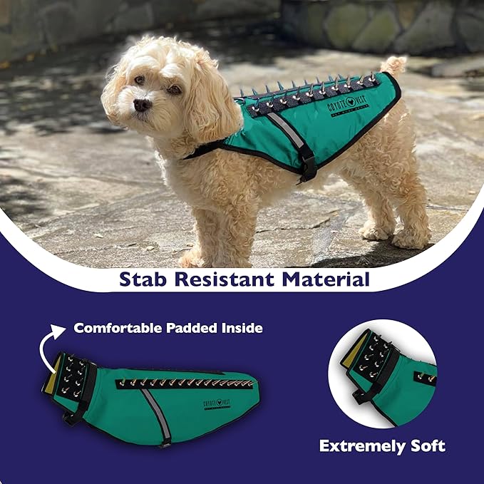 CoyoteVest Dog Harness Protection Vest, Reflective Dog Accessories with Spikes to Shield Your Pet from Raptor and Animal Attacks, Proudly Made in America (XX-Small, Turquoise)
