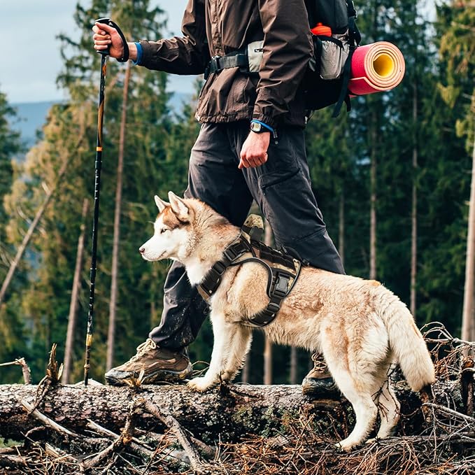 WINGOIN Tactical Dog Harness for Medium Dogs, Heavy Duty No Pull Dog Harness with Handle, Adjustable Reflective Military K9 Pet Vest for Pitbull, Female, Male, Walking, Hunting, Camo (M)