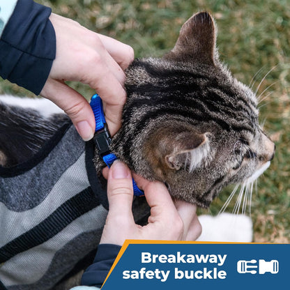 GoTags Personalized Cat Collars with Breakaway Safety Release Buckle, Custom Embroidered Cat Collar with Pet Name and Phone Number, Adjustable Nylon ID Collar with Bell for Cat or Kitten (Pack of 1)