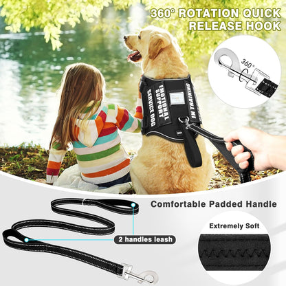 Service Dog Vest Harness and Leash Set+10 Patches,No Pull&Easy Walk Reflective Dog Harness with Soft Padded Handle for Training/Everyday,Fit Small/Medium/Large/Extra-Large Dogs(Black M)