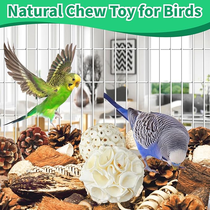Natural Bird Foraging & Parrot Shredding Toys Box - Interactive Chewing and Foraging Toys for Parakeets, Cockatiels, Conures, Love Birds, and Small to Medium Birds