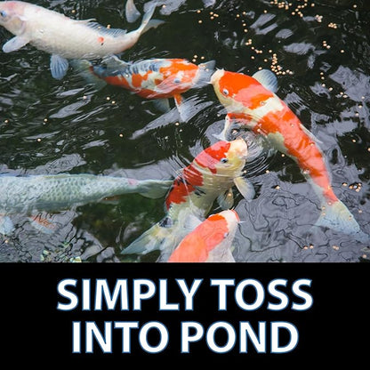 CrystalClear Staple Pond Fish Food for Healthy Koi & Goldfish, Protein Packed Floating Pellets for Summer Nutrition, Easy Digestion, 17.6 Pound Bucket