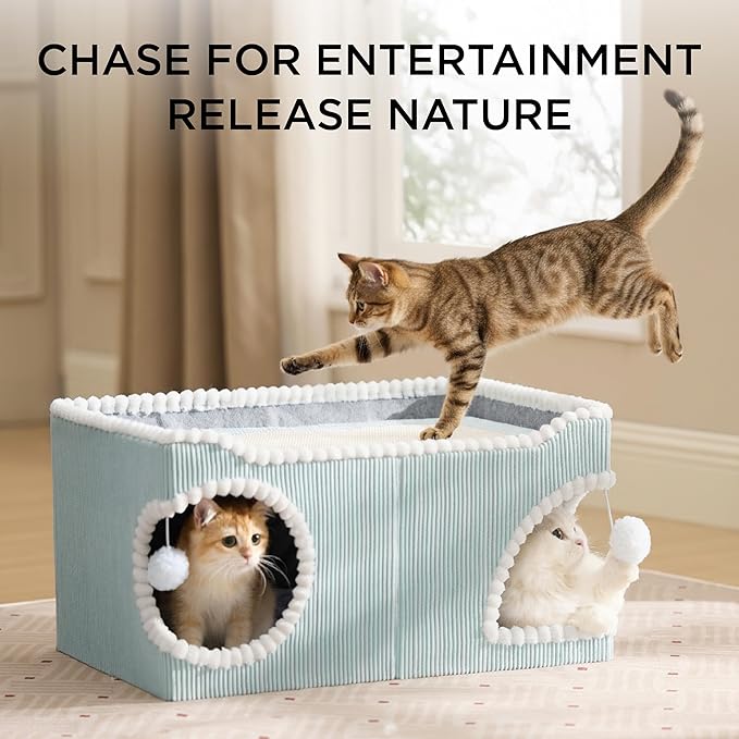Bedsure Cute Cat House for Indoor Cats - Extra Wide Cat Scratch House with Large Top Sisal Scratch Pad for Multiple Cats, Foldable Kitty Cave Hideaway for Entertainment, 23.6x15.9x12.6inches, Blue