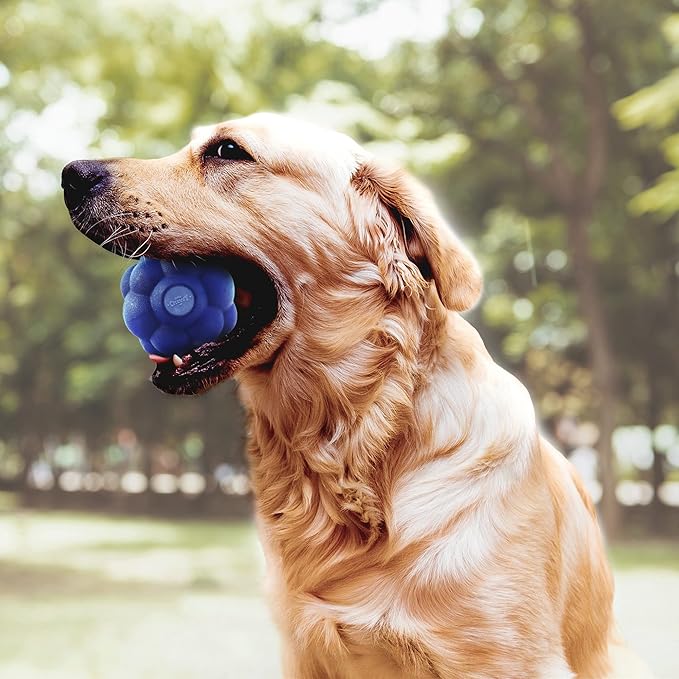 SuperChewy Tough Tumbler Ball Toy | Lifetime Replacement | Strong Natural Rubber | Smear Treats Inside to Excite Dogs | Ultra Durable Chewing Toy for Aggressive Chewers | for All Breeds