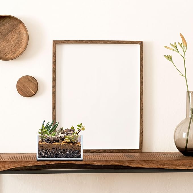 UNS Ultra Clear Rimless Tank - 0.5GAL | 2L - 6.29x6.29x3.14 | 16x16x8 CM, 5mm Glass Thickness, Leveling Mat Included - Low Iron, High Clarity Fish Tank w/ 45° Mitered Edge - [16S]