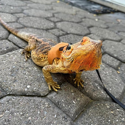 3 Pack Bearded Dragon Harness Leash Set Adjustable Soft Suede Leather Vest Harness with Retractable Leash, Small Animal Outdoor Walking Vest with Traction Rope