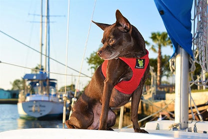 EcoBark Small Dog Harness for Toy Breed Dogs & Puppies - No Pull Soft Luxury Mesh - Step in Harness Halter Vest - Cute Adjustable Little Halter Body Wrap 7-10 lbs (Red, Small)