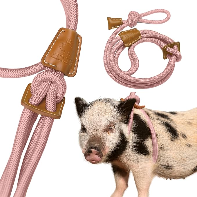 Mini Pig Harness & Leash (S/M) - Fully Adjustable, Infinity Style Lead, Step-in Harness, Potbelly Supplies, All-in-One - Ideal for Small & Medium Pet Pigs (Small, Mauve Pink)