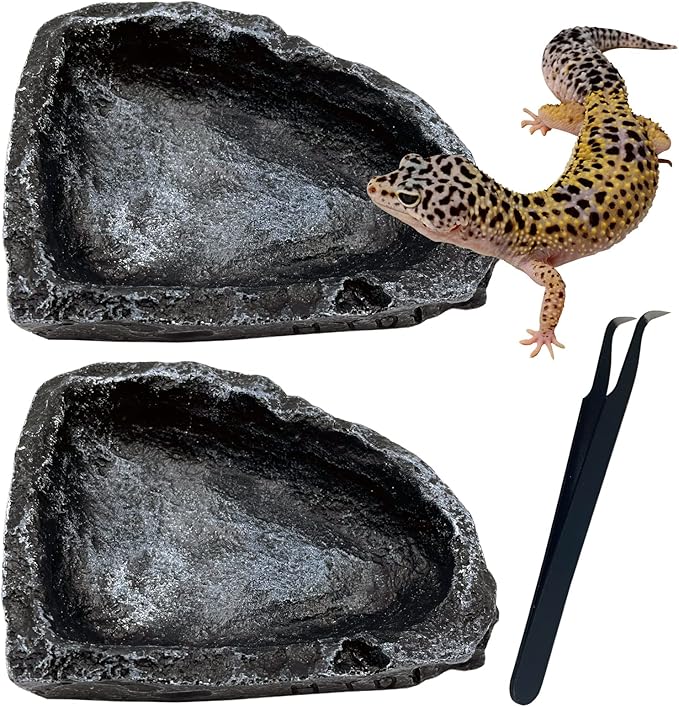 Reptile Feeding Dish 2 Pack Food Dish with Breadworm Feeding for Dragon Leopard Gecko Lizard Spider Scorpion Chameleon (2 Pcs, Deep Color)